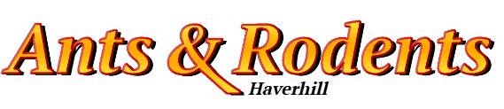 Haverhill Ant Exterminator & Rodent Control Company Logo
